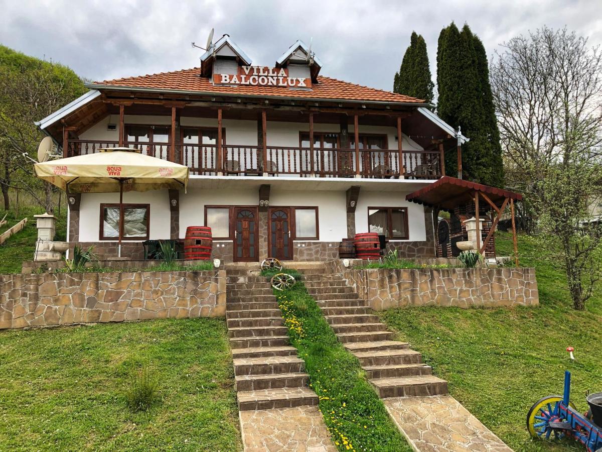 Villa Balconlux Pirot Esterno foto